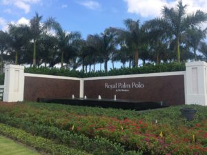 royal palm polo gated community in boca raton florida that is dog and cat friendly 33496