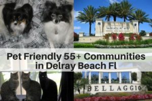 Pet Friendly 55+ Active Adult Communities in Delray Beach Fl