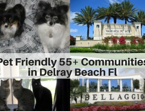 Pet Friendly 55+ Communities in Delray Beach FL