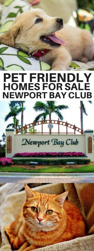 dog friendly homes for sale in Newport Bay Club and pet friendly homes for sale in Newport Bay Club
