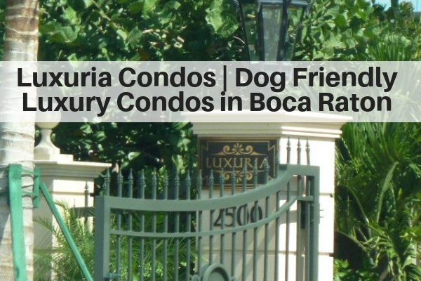 Luxuria Condos | Dog Friendly Luxury Condos in Boca Raton FL