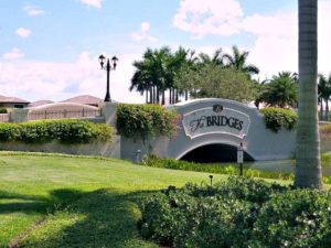 the bridges in delray beach florida is cat and dog friendly community