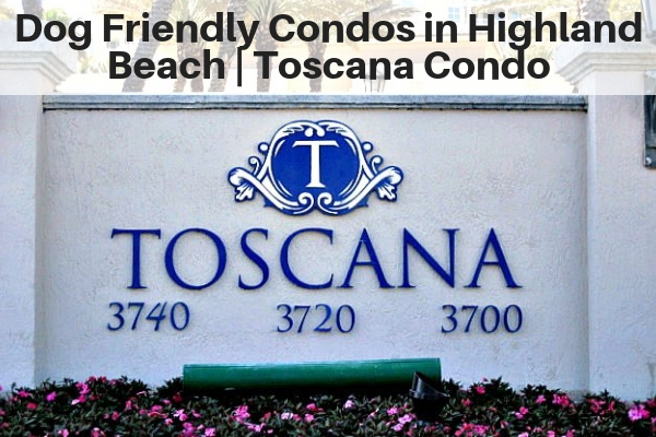 Dog Friendly Condos in Highland Beach FL | Toscana Condo