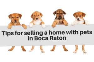 tips to sell a house with pets in boca raton fl