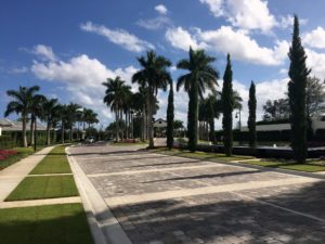homes for sale royal palm polo by toll brothers