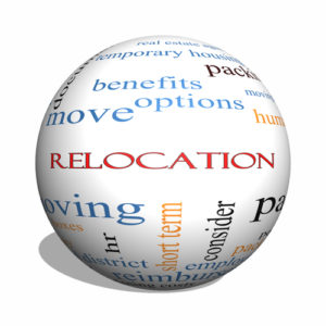 tips for relocation to south florida with pets