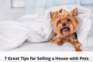 7 great tips for selling a house with pets, boca raton