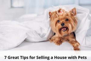 7 great tips for selling a house with pets 7 Great Tips for Selling a House with Pets