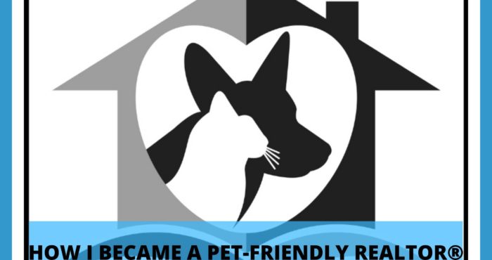 pet friendly realtor in boca, delray elyse berman
