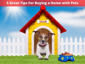 Great Tips For Buying a Home with Pets 11 Great Tips For Buying a Home with Pets