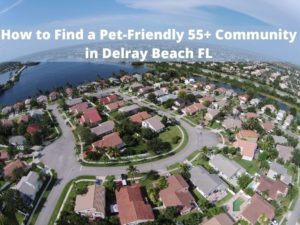 How to Find a Pet-Friendly 55+ Community in Delray Beach Boynton Beach FL (1)