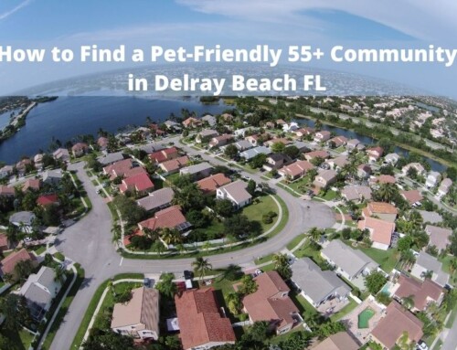 How to Find a Pet-Friendly 55+ Community in Delray Beach FL
