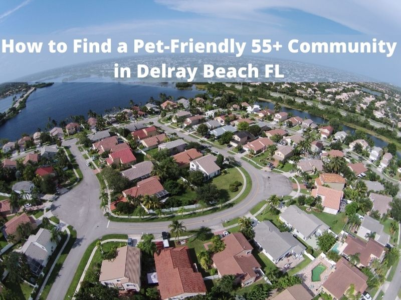 How to Find a Pet-Friendly 55+ Community in Delray Beach FL