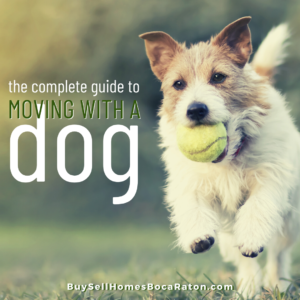 Complete Guide to Moving With a Dog - Boca Raton Homes for Sale