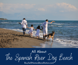 All-about-the-Spanish-River-Dog-Beach