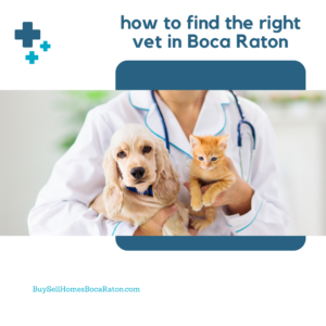 How to Find the Right Vet in Boca Raton