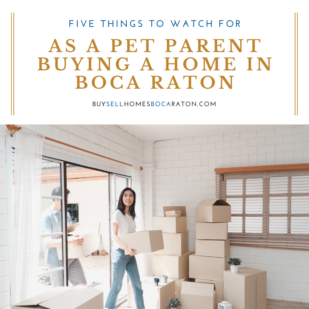 5 Things to Watch for as a Pet Parent Buying a Home in Boca Raton