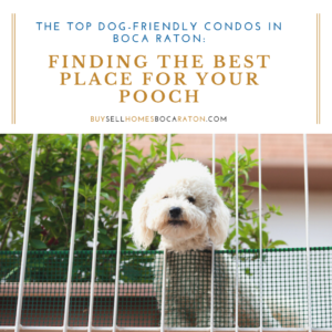The Top Dog-Friendly Condos in Boca Raton: Finding the Best Place for Your Pooch