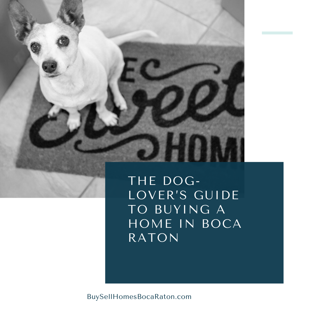 The Dog-Lover’s Guide to Buying a Home in Boca Raton