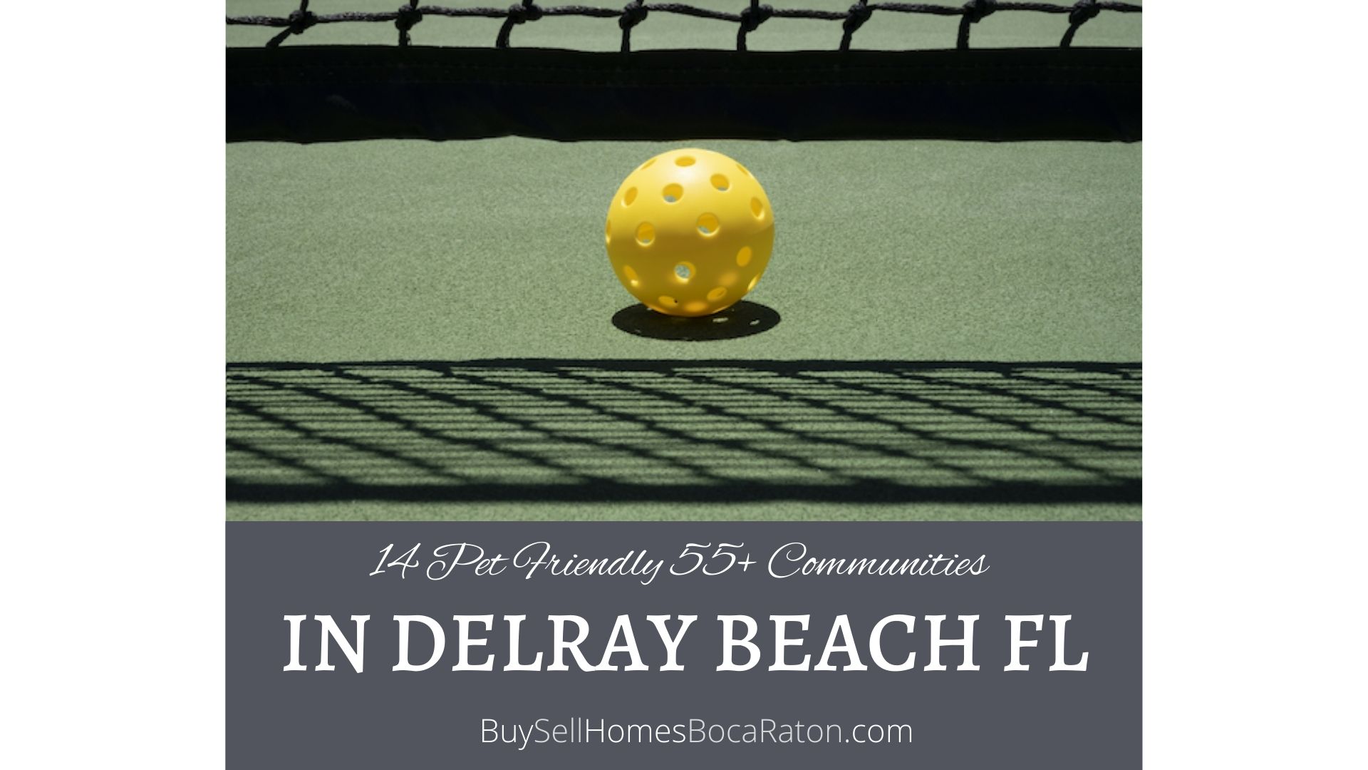 14 Pet Friendly 55+ Communities in Delray Beach FL