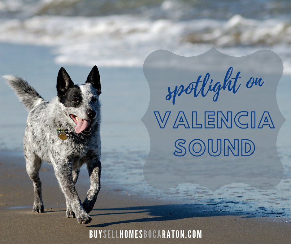 Valencia Sound: