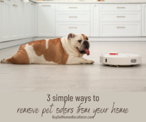 3 Simple Ways to Remove Pet Odors From Your Home