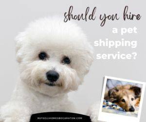Should You Hire a Dog Shipping Service When You Move?