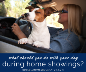 What Should You Do With Your Dog During Home Showings?