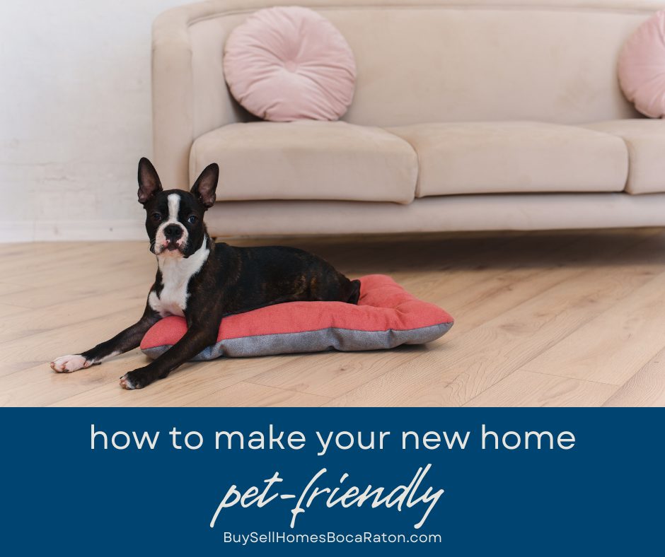 How to Make Your New Home Pet-Friendly