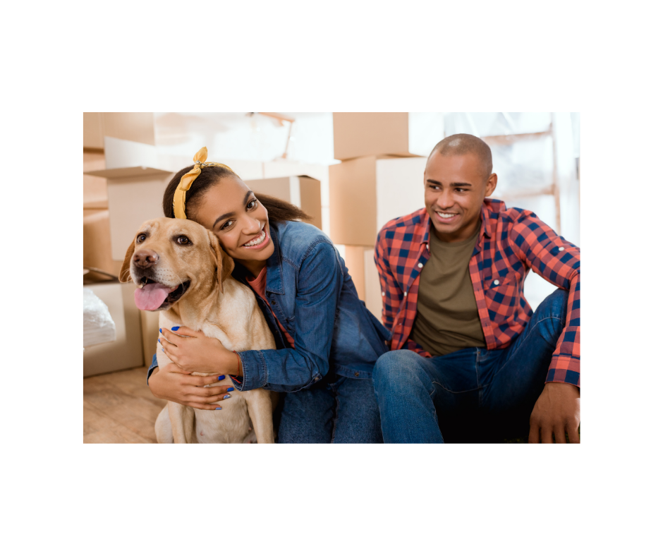 7 Ways to Help Your Dog Adjust to Your New Home