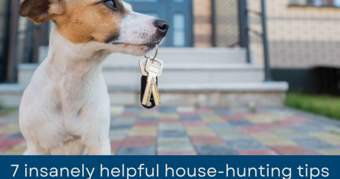 7 Insanely Helpful House-Hunting Tips for Pet Parents
