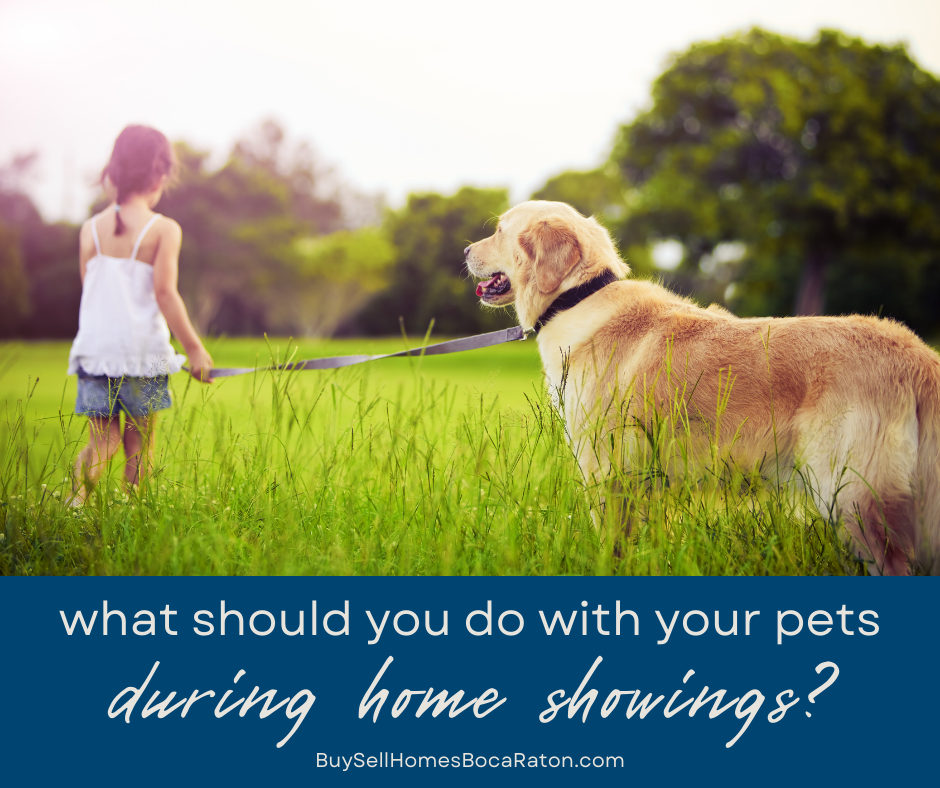 What Should You Do With Your Pets When You’re Showing Your Home in Boca Raton?