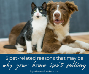 3 Super-Simple, Pet-Related Reasons Your Home Isn't Selling