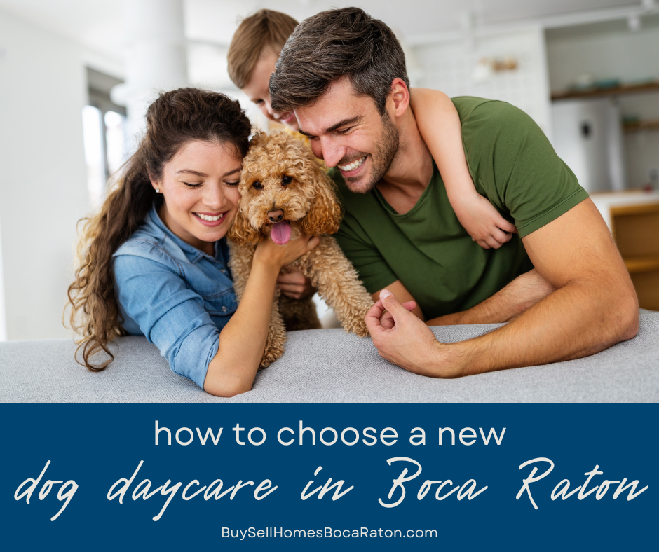 How to Choose a Dog Daycare When You Move to Boca Raton