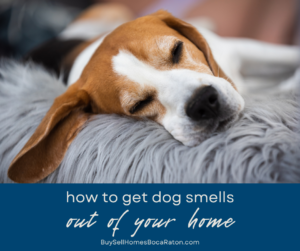 How to Get Dog Smells Out of Your Home Before You Sell