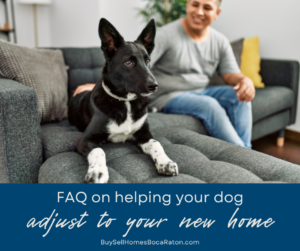 FAQ on Helping a Dog Adjust to a New Home in Boca Raton