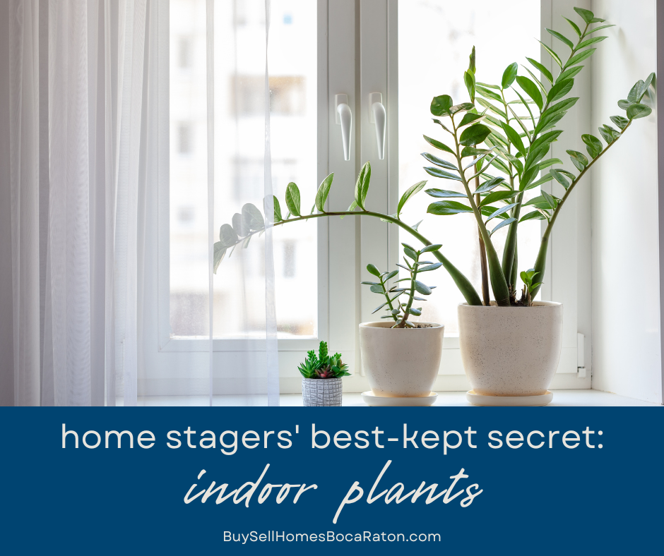 Houseplants: Home Stagers’ Best-Kept Secret