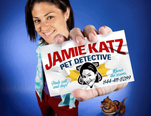 Jamie Katz Pet Detective in Florida