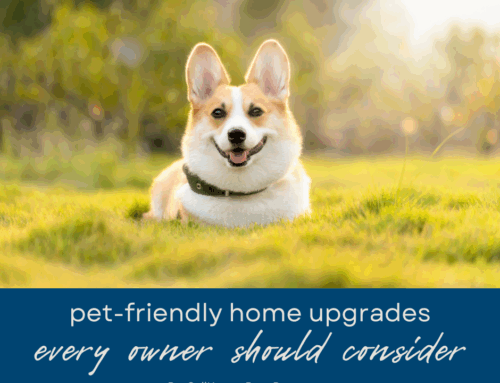 Pet-Friendly Home Upgrades to Consider