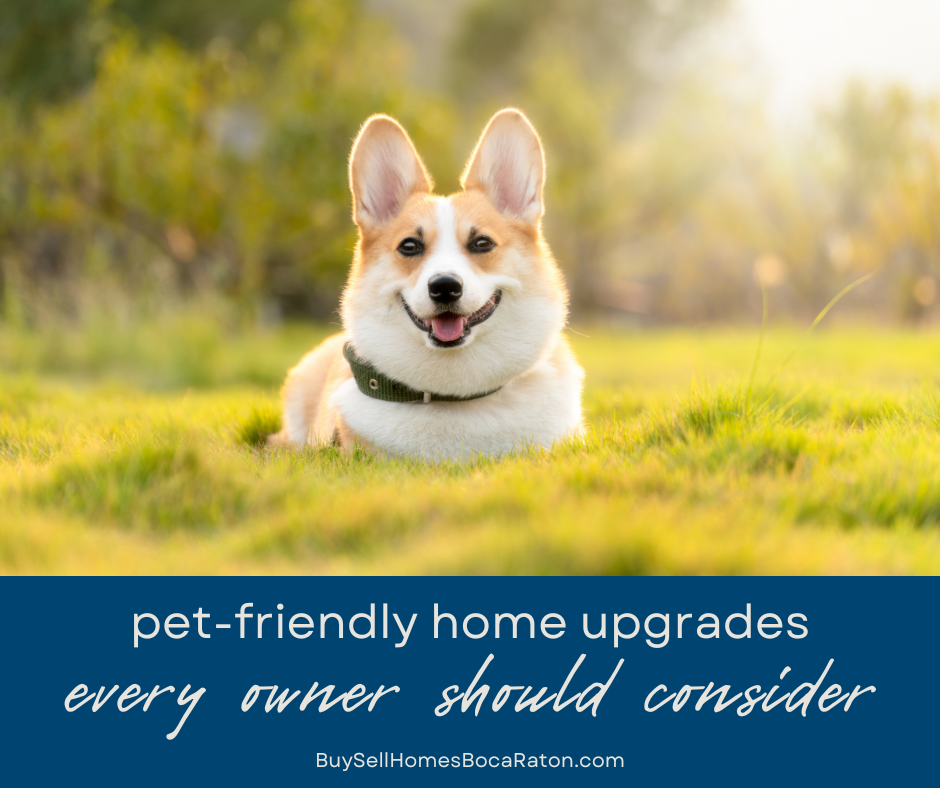 Pet-Friendly Home Upgrades to Consider