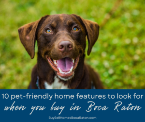10 Pet-Friendly Home Features to Look for When You Buy a Home in Boca Raton