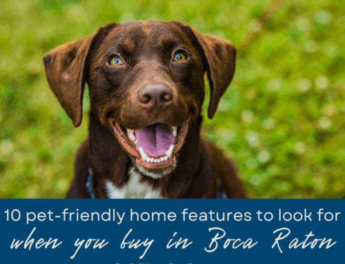 10 Pet-Friendly Home Features to Look for When You Buy a Home in Boca Raton