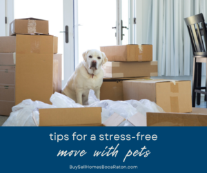 Aiming for a Stress-Free Move With Pets: Tips for Helping Your Animals