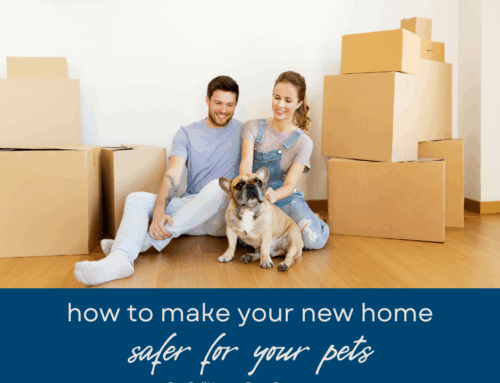 How to Make Your New Home Pet-Safe