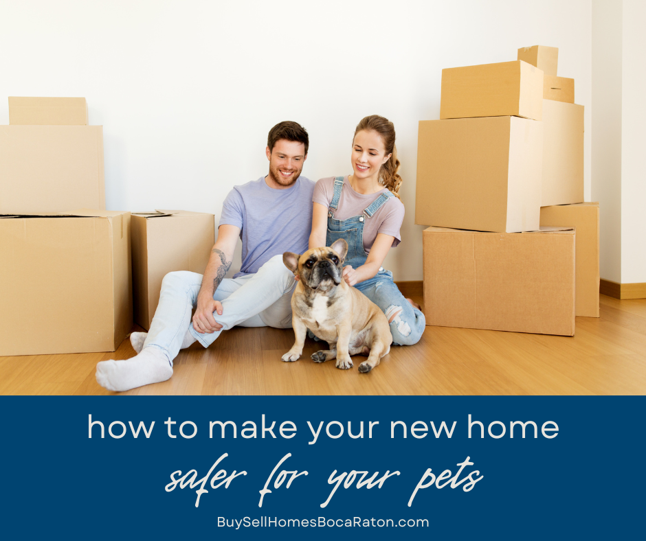 How to Make Your New Home Pet-Safe
