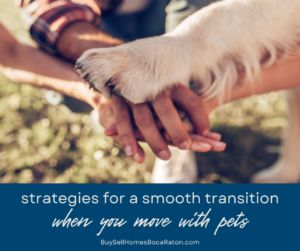 Strategies for a Smooth Transition to Boca Raton When You're Moving With Pets