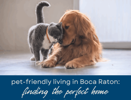 Pet-Friendly Living in Boca Raton: Finding the Perfect Home for You and Your Furry Friends