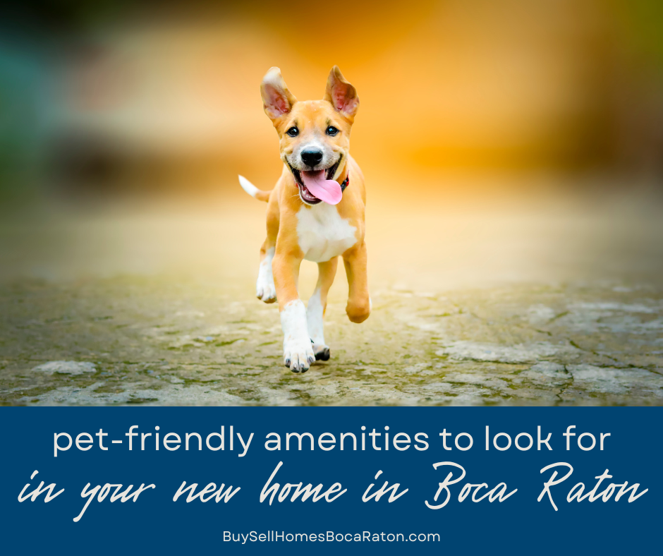 Pet-Friendly Amenities in Boca Raton Homes: What to Look For