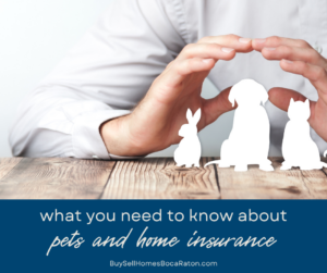 Everything You Need to Know About Pets and Home Insurance