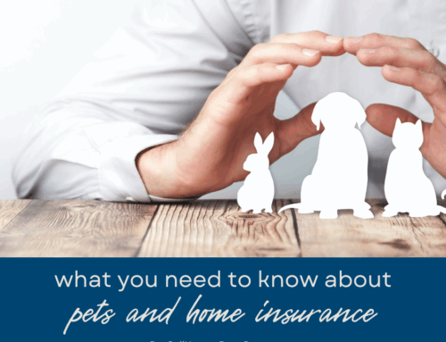 Everything You Need to Know About Pets and Home Insurance